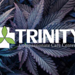 Close-up of cannabis leaves with Trinity logo and tagline.