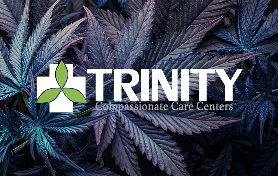 Close-up of cannabis leaves with Trinity logo and tagline.