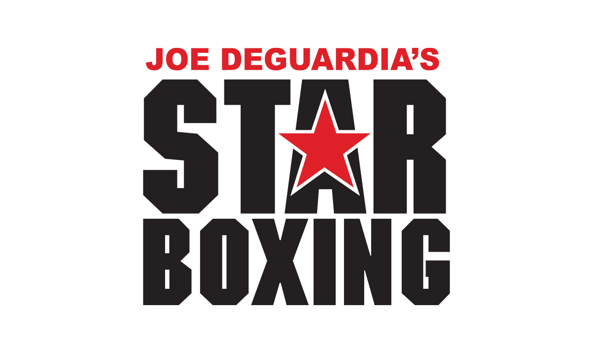 Star-Boxing-logo | Idea Stream Marketing Star Boxing Logo