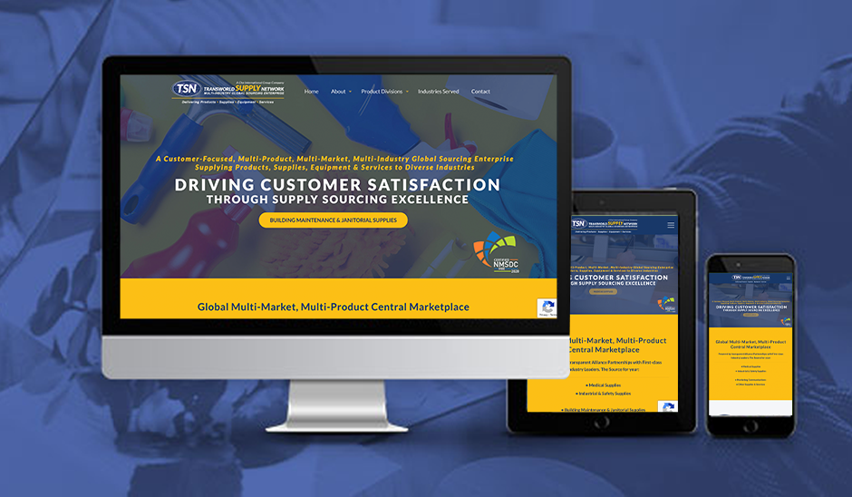 Transworld Supply Network website mockup