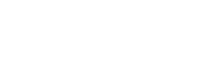 Canarsie brand logo with stylized text and colors